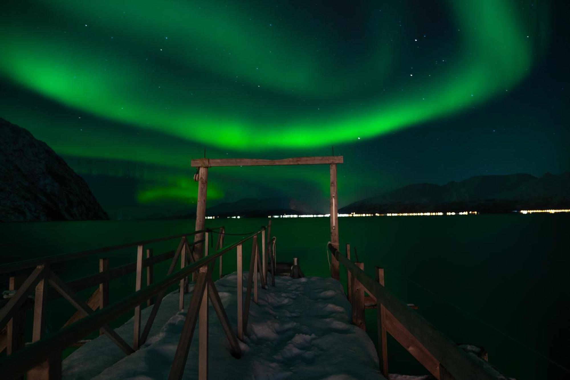 Lyngen Aurora House Villa Koppangen Bagian luar foto